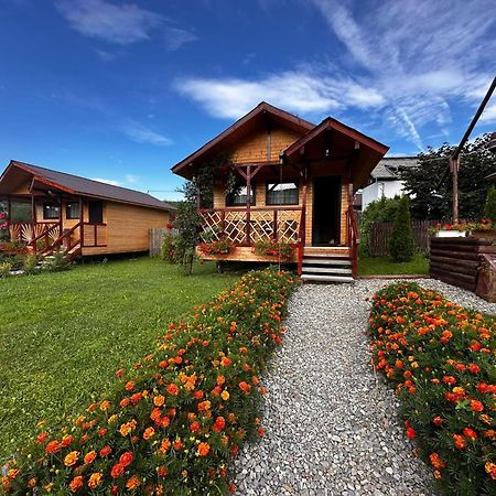 Baltina Parc Transfagarasan Villa Curtea De Arges Ngoại thất bức ảnh