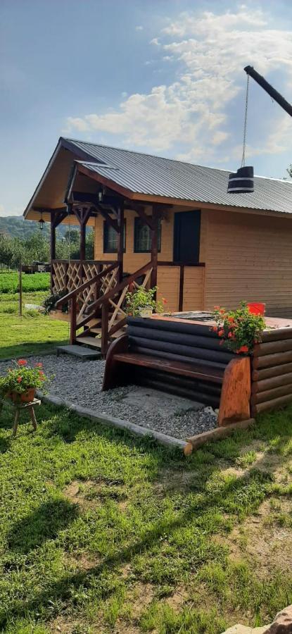 Baltina Parc Transfagarasan Villa Curtea De Arges Ngoại thất bức ảnh