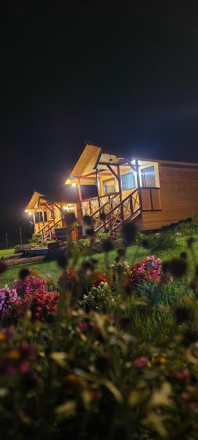 Baltina Parc Transfagarasan Villa Curtea De Arges Ngoại thất bức ảnh