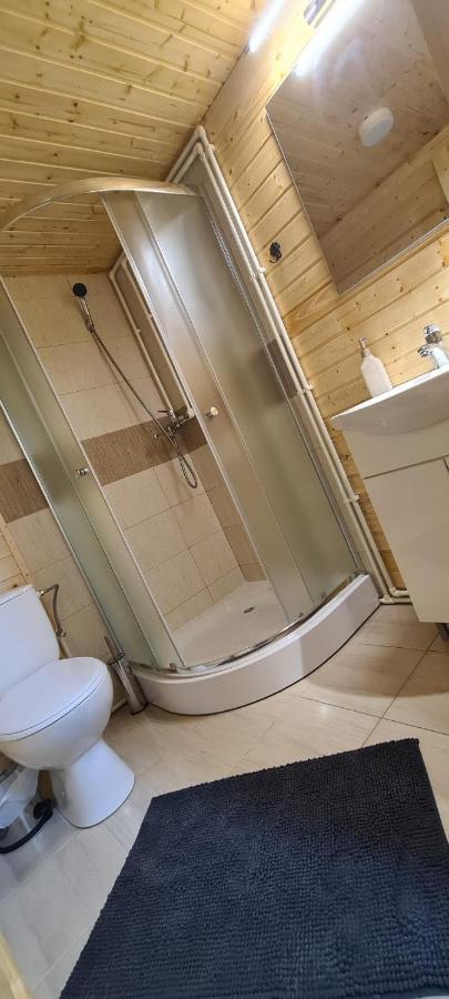 Baltina Parc Transfagarasan Villa Curtea De Arges Ngoại thất bức ảnh