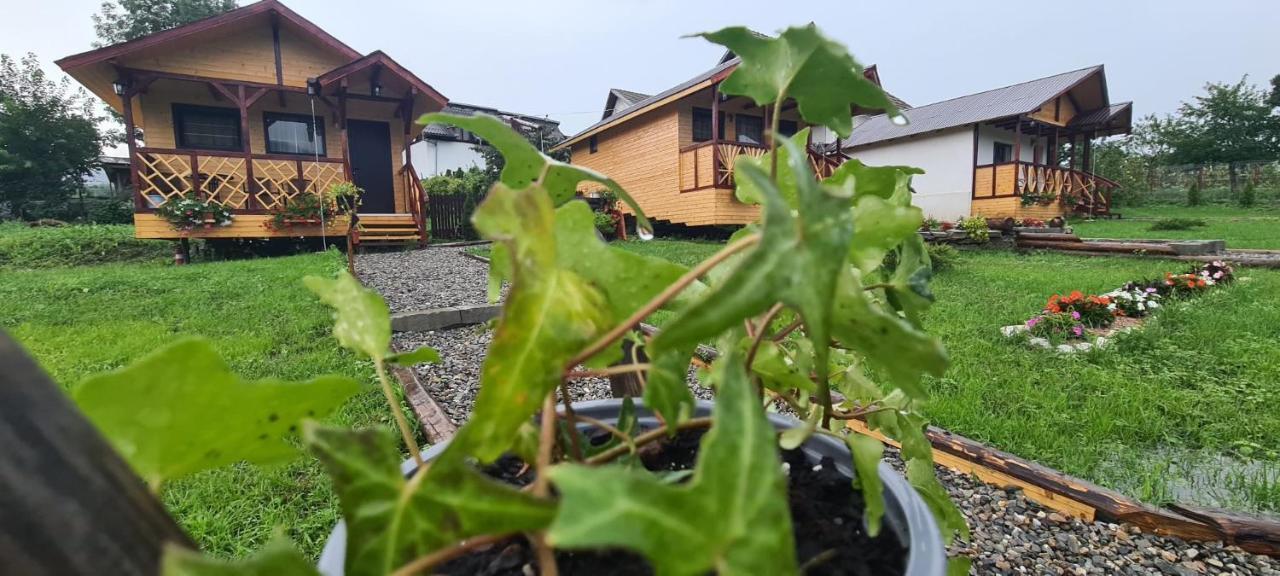 Baltina Parc Transfagarasan Villa Curtea De Arges Ngoại thất bức ảnh