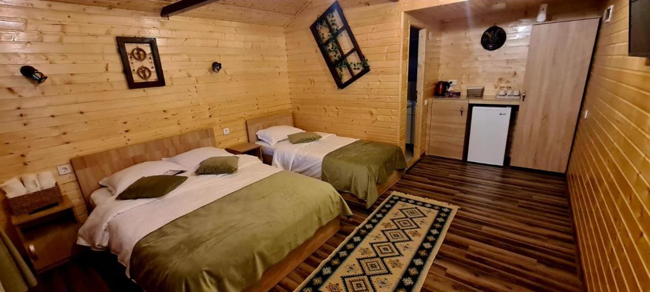 Baltina Parc Transfagarasan Villa Curtea De Arges Ngoại thất bức ảnh