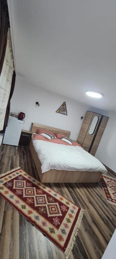 Baltina Parc Transfagarasan Villa Curtea De Arges Ngoại thất bức ảnh