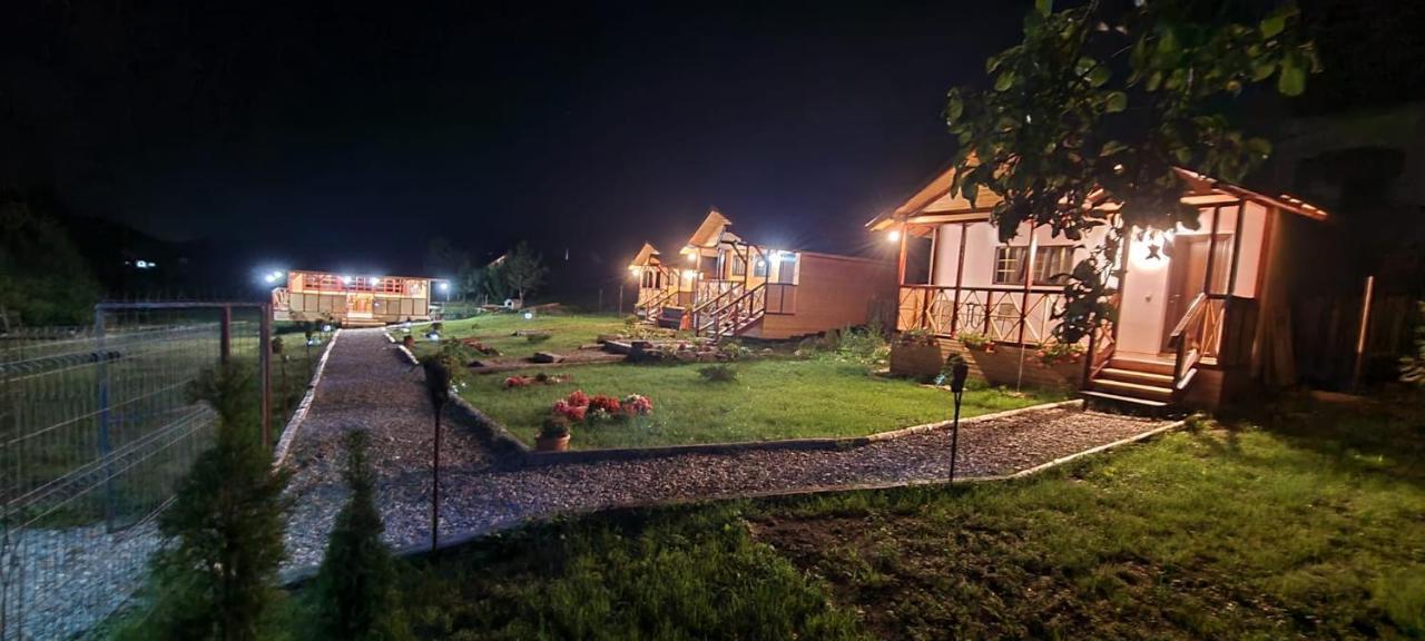 Baltina Parc Transfagarasan Villa Curtea De Arges Ngoại thất bức ảnh