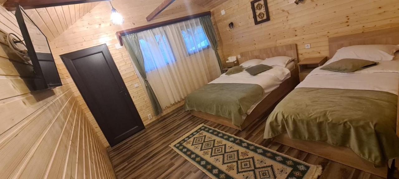 Baltina Parc Transfagarasan Villa Curtea De Arges Ngoại thất bức ảnh