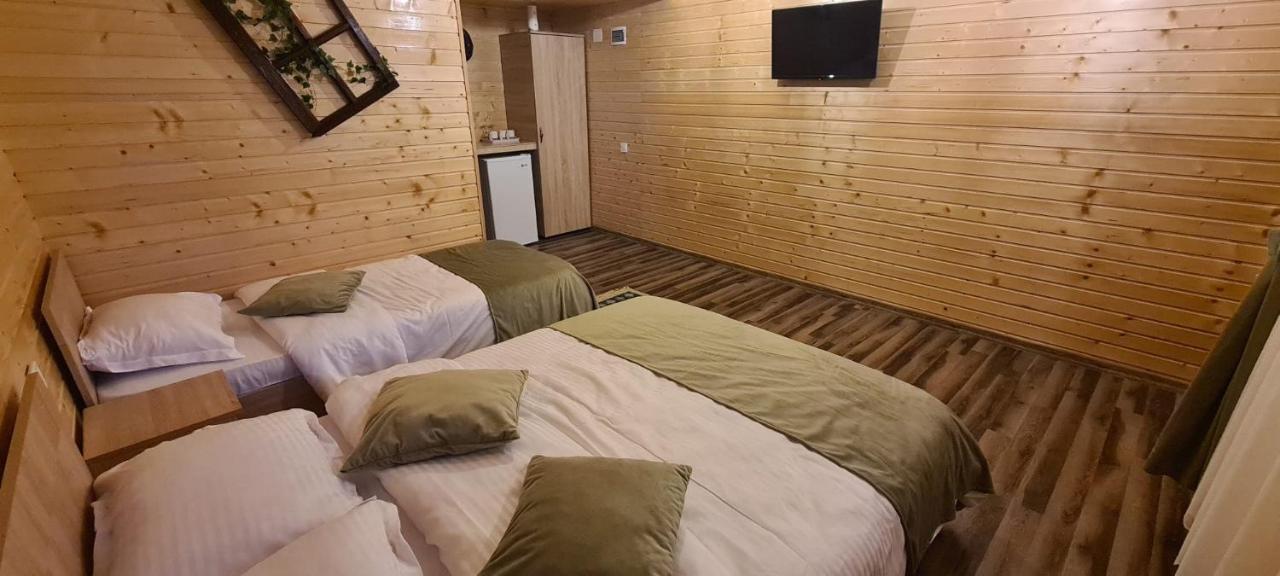 Baltina Parc Transfagarasan Villa Curtea De Arges Ngoại thất bức ảnh