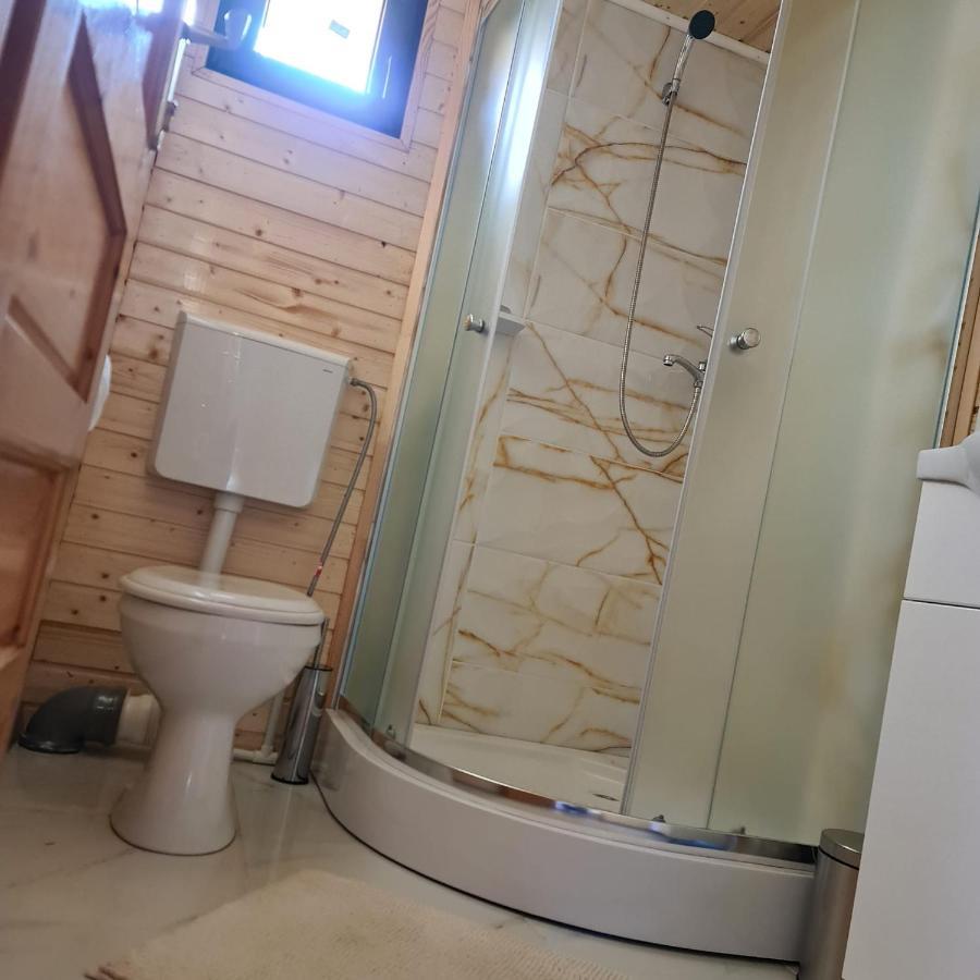 Baltina Parc Transfagarasan Villa Curtea De Arges Ngoại thất bức ảnh