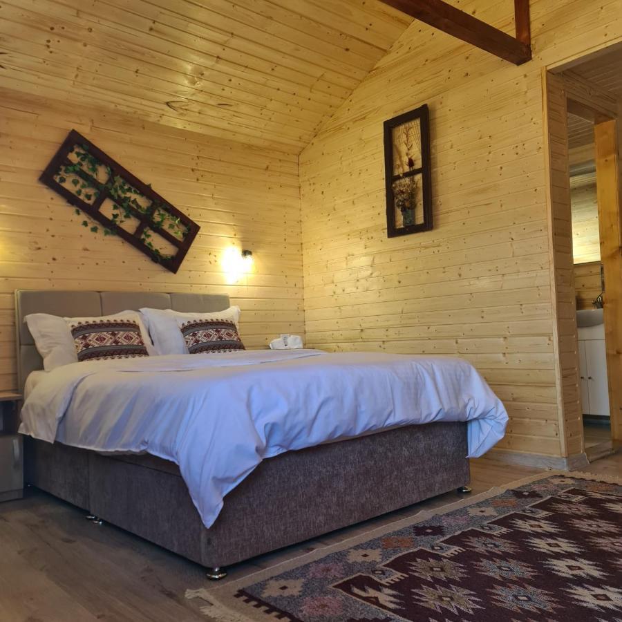 Baltina Parc Transfagarasan Villa Curtea De Arges Ngoại thất bức ảnh