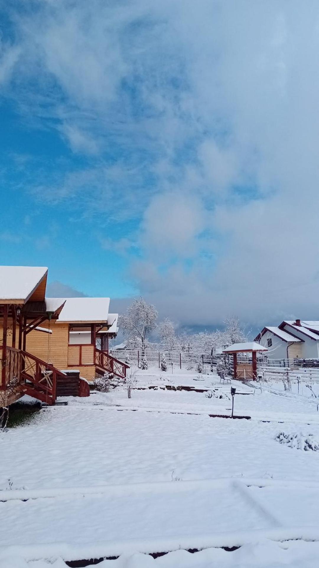Baltina Parc Transfagarasan Villa Curtea De Arges Ngoại thất bức ảnh