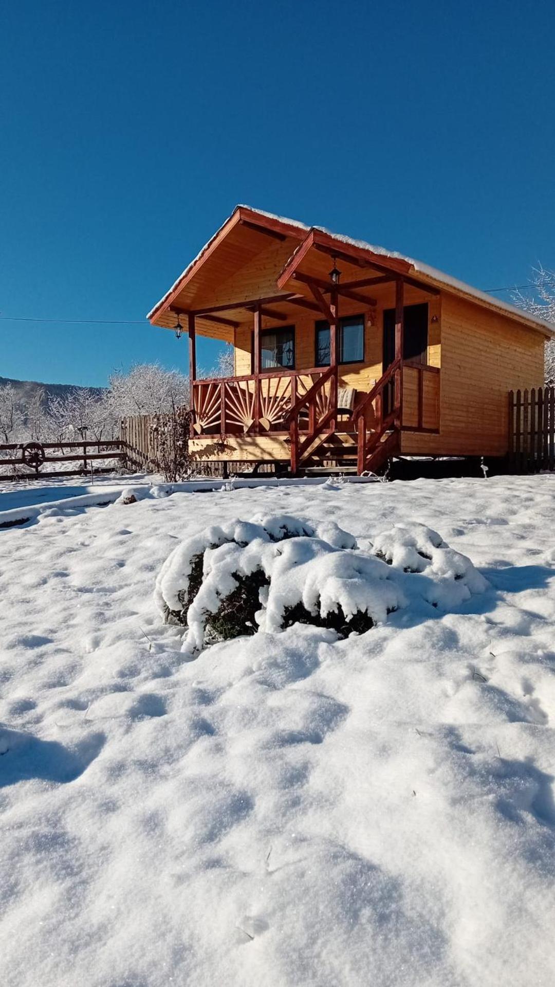 Baltina Parc Transfagarasan Villa Curtea De Arges Ngoại thất bức ảnh