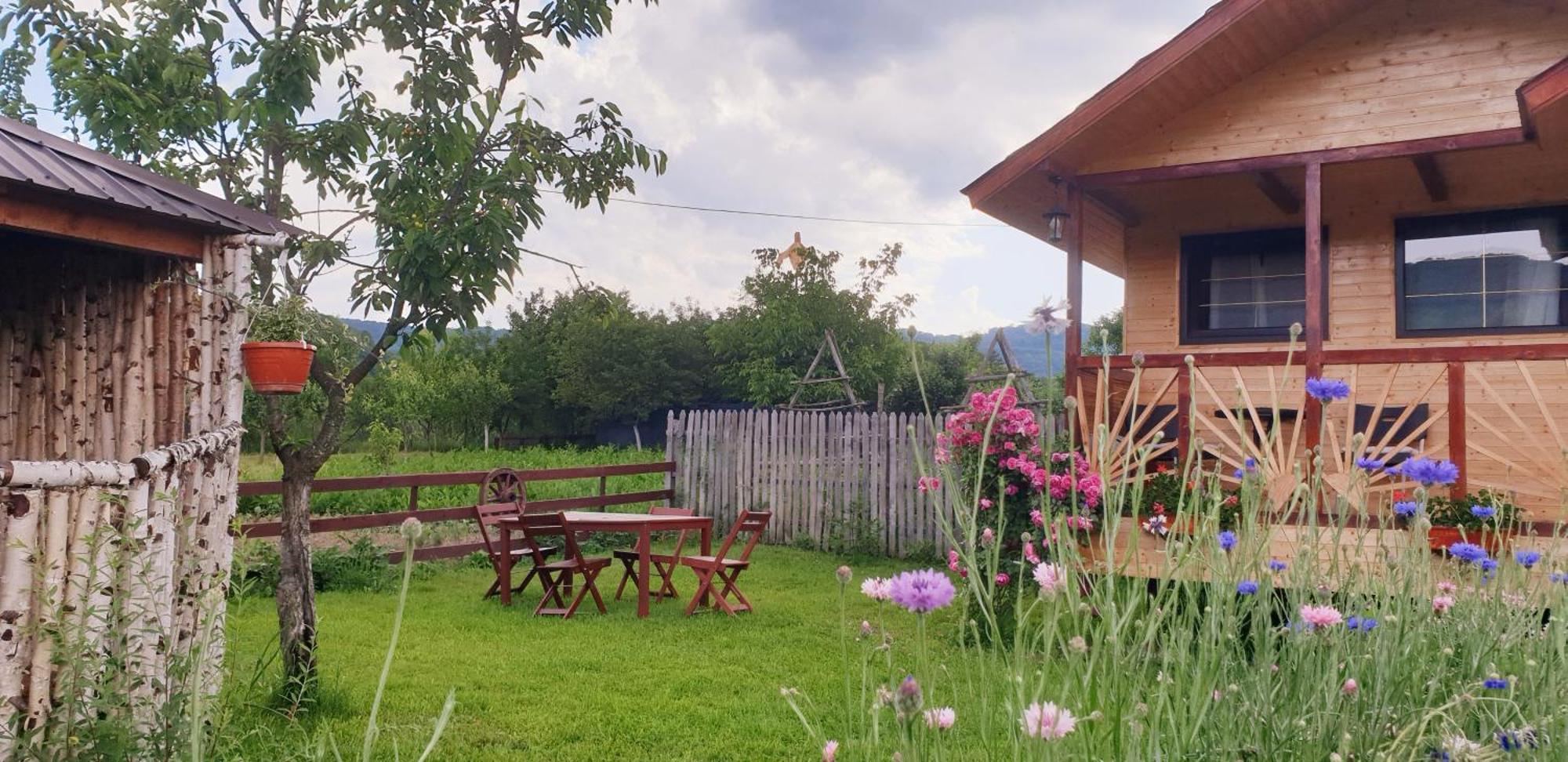 Baltina Parc Transfagarasan Villa Curtea De Arges Ngoại thất bức ảnh