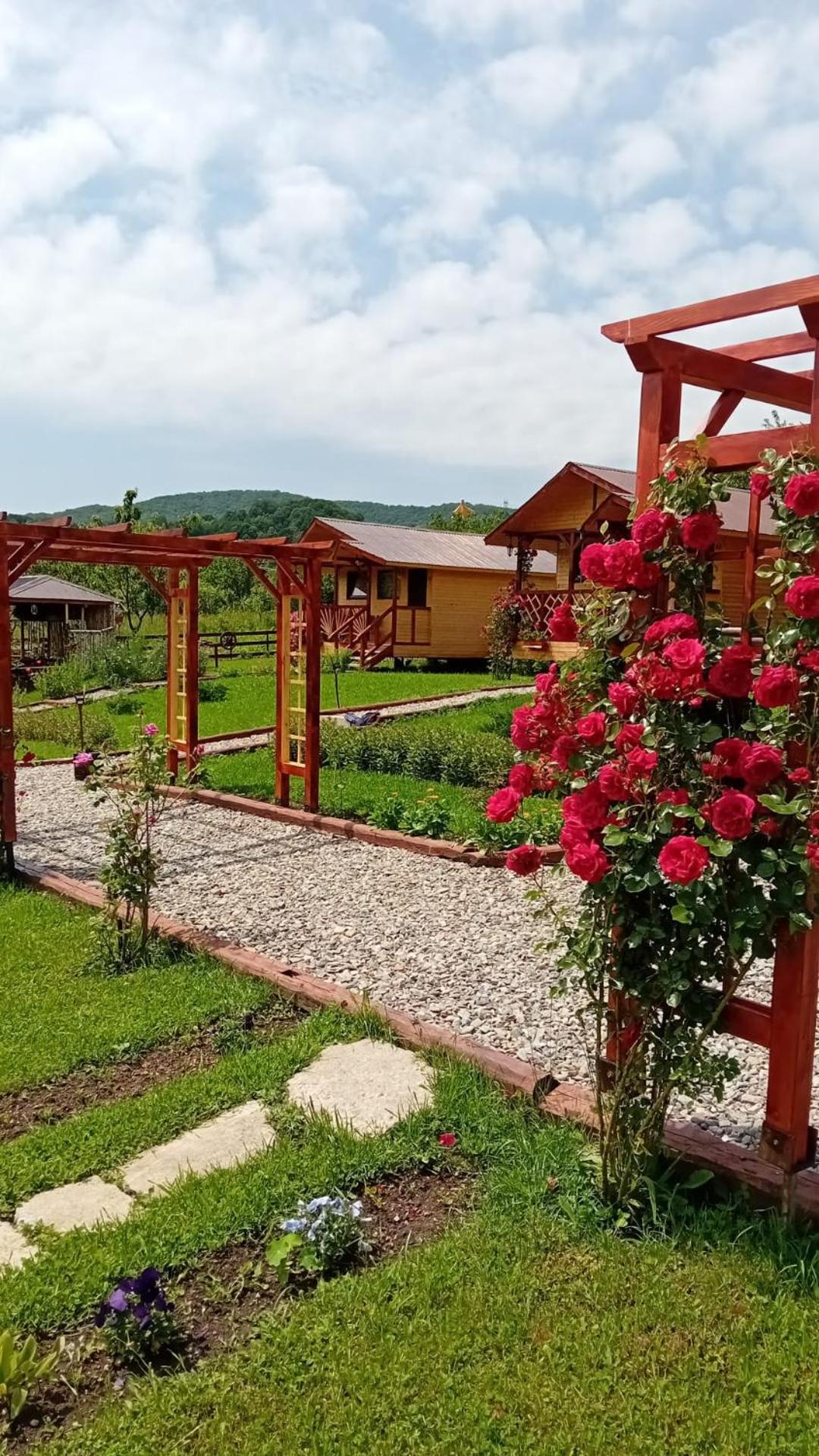 Baltina Parc Transfagarasan Villa Curtea De Arges Ngoại thất bức ảnh