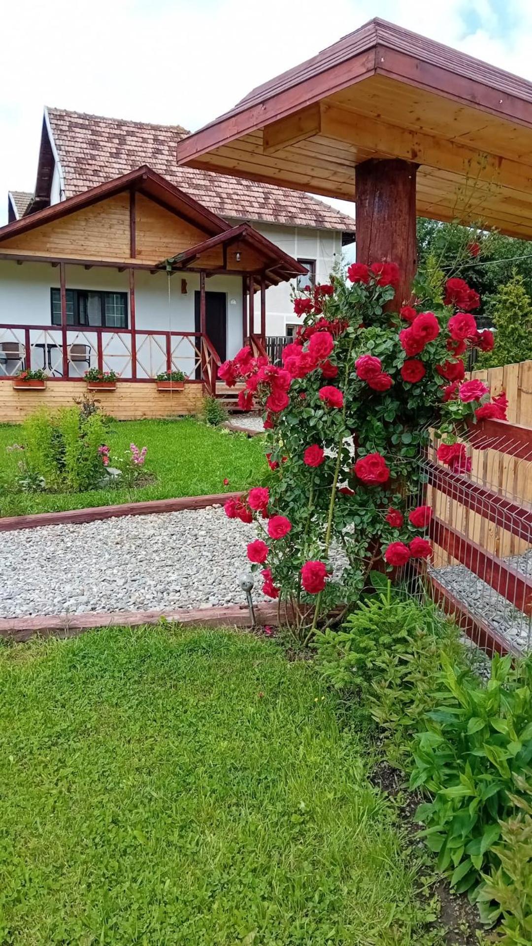 Baltina Parc Transfagarasan Villa Curtea De Arges Ngoại thất bức ảnh