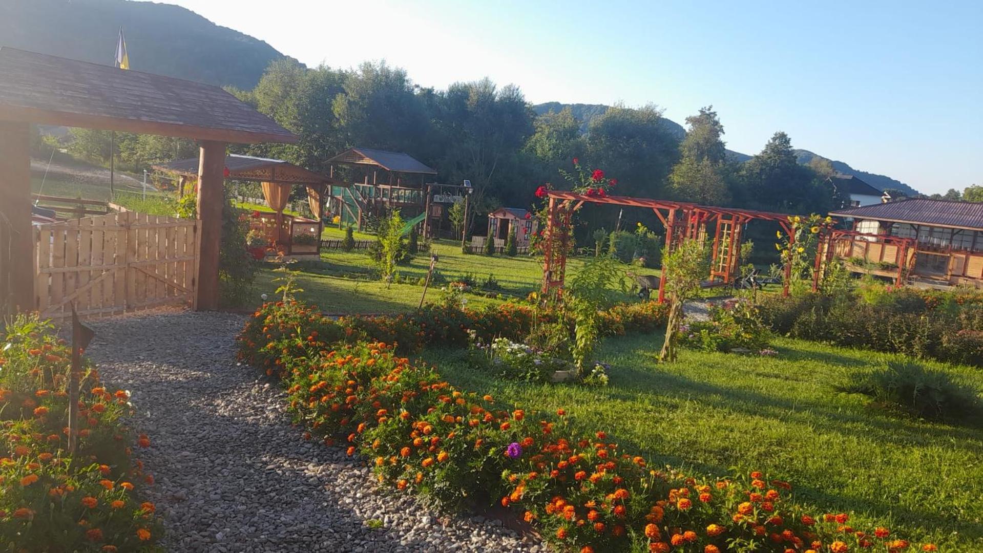 Baltina Parc Transfagarasan Villa Curtea De Arges Ngoại thất bức ảnh